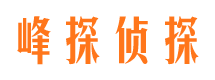 康定峰探私家侦探公司